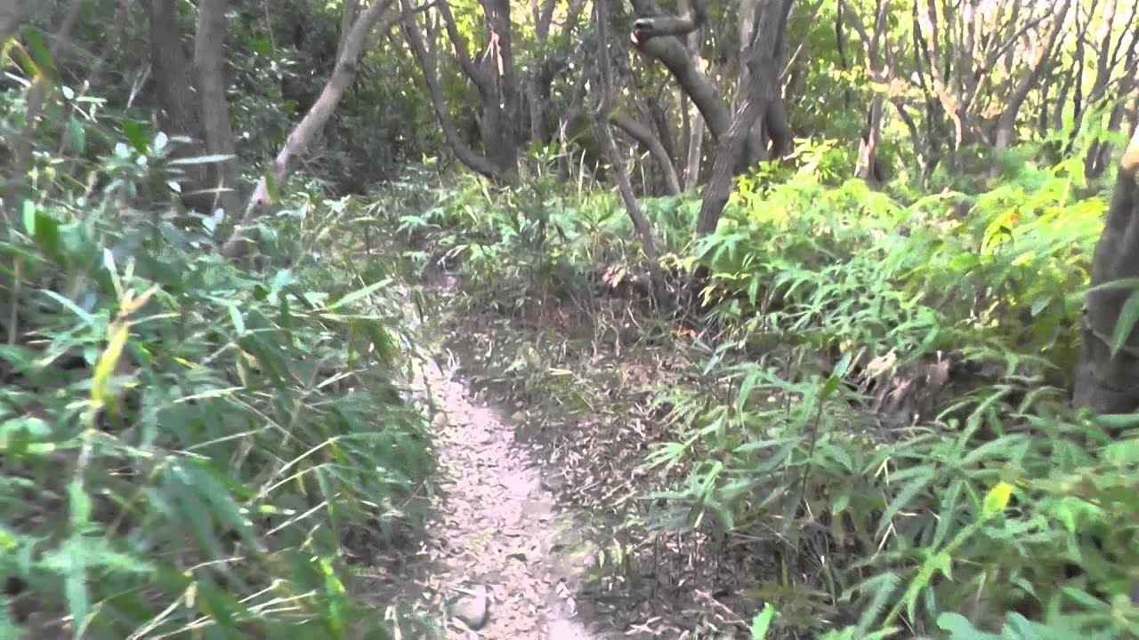 マップと動画で紹介　白浜地磯『シシハイ』　北西にも強く収容人数が多くてターゲットは多彩の人気地磯【和歌山釣り場ポイント案内】