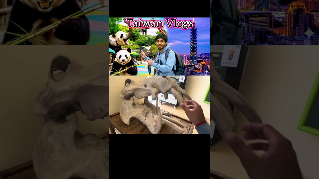 Funny Tamil Vlogs: Hilarious Moments from Tamil Nadu