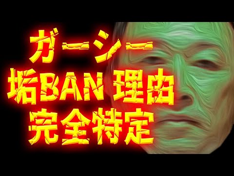 暴露系Youtuber ガーシー 垢バン理由を完全特定！ 垢ban アカバン 東谷義和 楽天 三木谷 ロリ谷 三木谷ルーム 切り抜き
