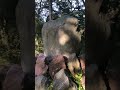 Elbląg #15