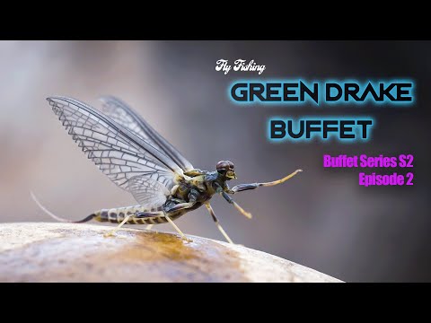 Green Drake Buffet  Episode 2 Season 2 – Big Brown Trout Eating Green Drake Dry Flies – Fly Fishing