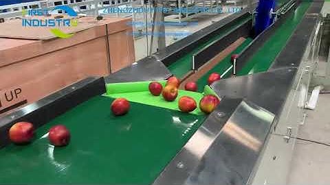 automatic peach nectarine sorting machine，electric peach grading machine