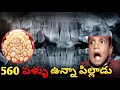 526 పళ్ళు ఉన్నా పిల్లాడు ||   ఒక కంపెనీకి CEO రోబోట్ || top 10 interesting facts