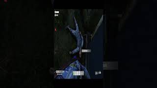 hola = batazo en la cara 🏏 #humor #dayz
