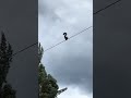 Como se llama