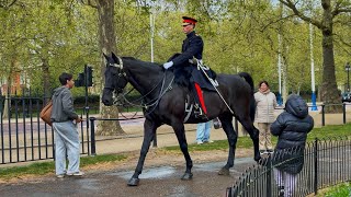 Magnificent Appearance: Household Cavalry Officer Rides His Horse Through St James’s Park 🇬🇧