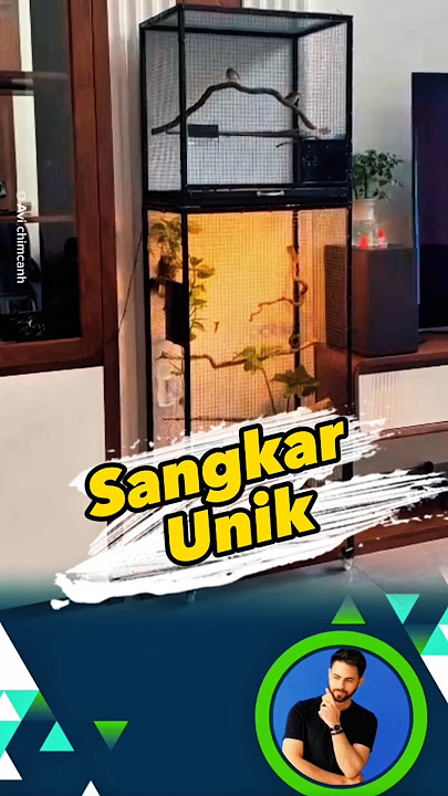 Sangkar unik untuk dekorasi rumah #sangkarunik #sangkarburung