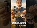 Underground Snake Cam: Secrets You’ve Never Seen 😳 #microcamera #fishing #actioncam #america