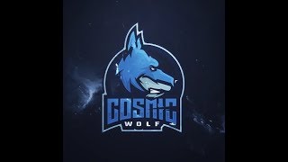 Teamtage 1 - Cosmic Wolf eSports