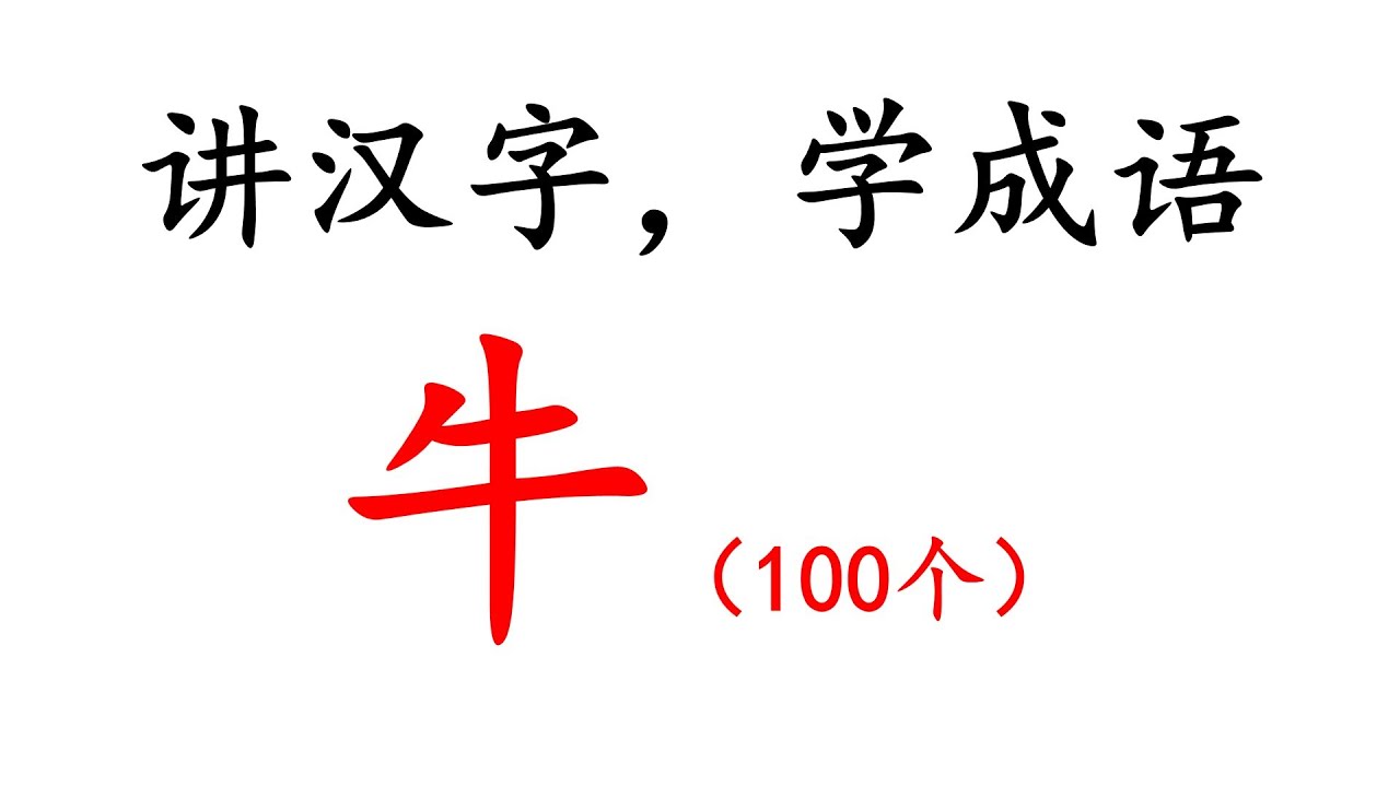 四十年 四千字 四万词 讲汉字 学成语 100个 牛niu Youtube