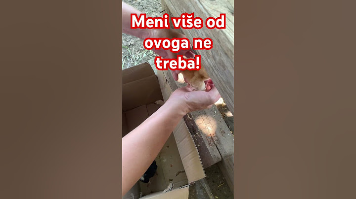 Šta će mi ko, imam kvočku i nema ko da mi ide na nerveee#viralvideo #pilići#domaće