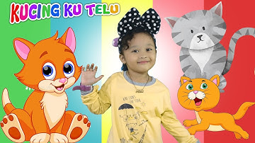 LAGU KUCINGKU TELU KABEH LEMU LEMU | LAGU ANAK INDONESIA POPULER