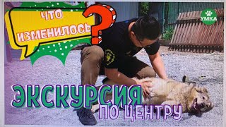 Экскурсия по центру Умка