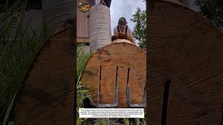 Log Anchoring Changes Everything #Woodworking #ConstructionHack #DIYUSA