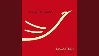 Video thumbnail of "The Wild Swans - Young Manhood"