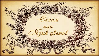 Селам, или язык цветов