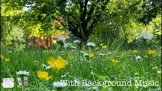 Friesenpark 4K Relaxing Spiritual Music + Nature Sound P.2 EP.11