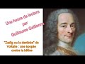 Zadig ou la destine de voltaire  une pope contre la btise