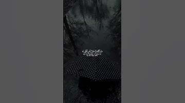 قُل مَتاعُ الدُّنيا قَليلٌ ｜ سورة النساء ｜ القارئ يوسف الصقير #المصحف #حالات واتس