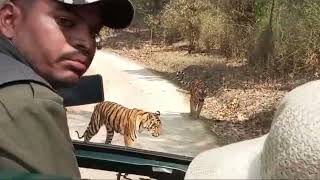 Best Madhya Pradesh Travel Vlog#bengali#kanha Forest#Part 2