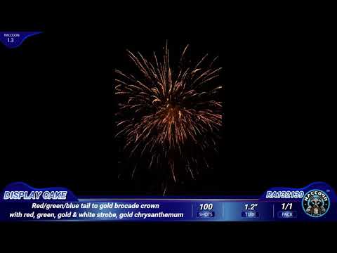 1.2″ video preview
