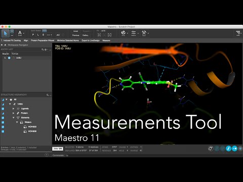 Maestro 11 - Measurements Tool