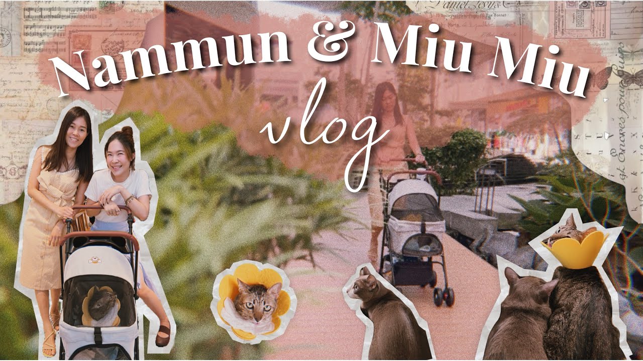 [Eng Sub] Nammun & Miu Miu VLOG | พาเด็กแมวไปเที่ยวห้าง