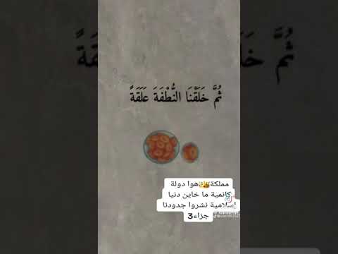من هم أحفاد الملك التبع اليماني سيف بن ذي ذين تاريخ قبيلة برنو عرب بني سيف الحميري كامل صحابه