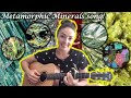 Metamorphic Rocks and Mineral Varieties Quiz