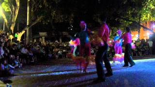 Carnaval 2012 Conga