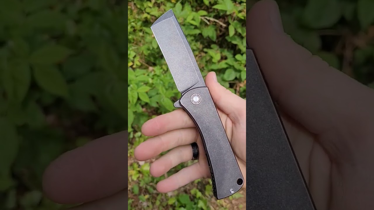 TwoSun TS390 Titanium Framelock D2 Blade Steel Flipper 