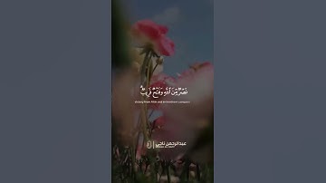 سورة الصف  ــــــــ عبد الرحمن ناجي