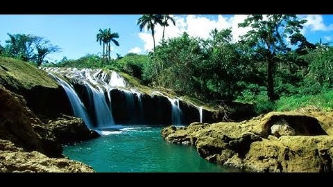 ما تيسر من سورة هود - القارئ الشيخ / أحمد غريب