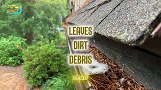 Protect Your Home From Water Damage With Professional Gutter Cleaning | Independent Gutters