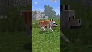 Armadillo Wolf Armor Strength Test