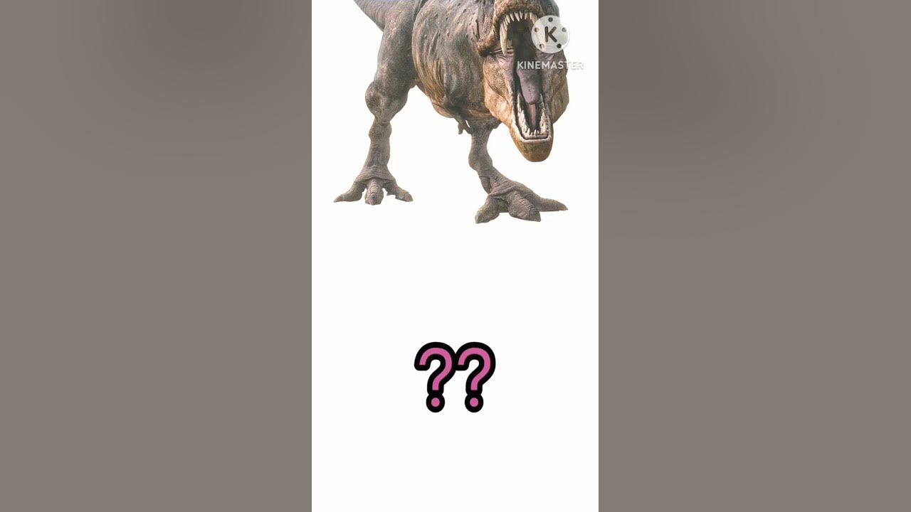 Animals start with letter D#vocabulary #baby #learnenglish #animalsname