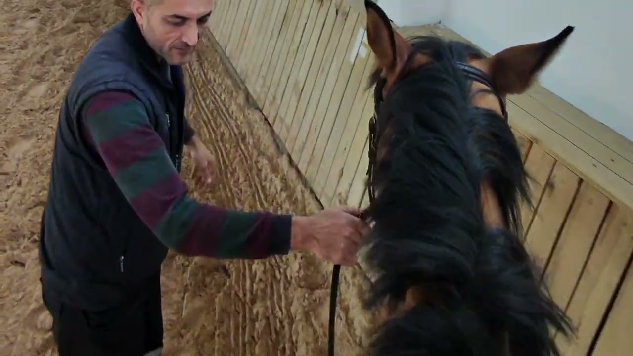 Falling off a 4-Year-Old Horse at Full Gallop (Stirrup Fail)