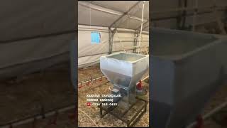 1000 Kapasite Profesyonel Salma Gezen Tavuk Kümesi Anahtar Teslim Kurulumu 05355160425