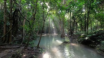 تلاوات هادئة تريح النفس | اجمل التلاوات لاشهر القراء | جودة عالية