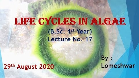 Plant_Biodiversity_B.Sc._1st Year Life cycles in Algae