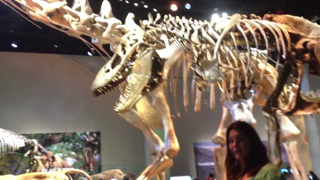 ZANEOLOGY TV: Perot Museum of Nature and Science  v.2