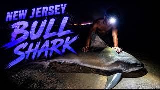 I Caught a BULL SHARK in New Jersey!