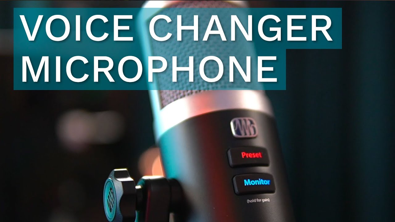 Voice changer mic