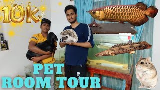 Fish room tour Tamil | all my pets | Asian arowana Senegal  bass rtc | heghog dog hamster tarantula