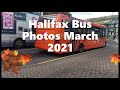 Buses at Halifax March 2021 [Slideshow]