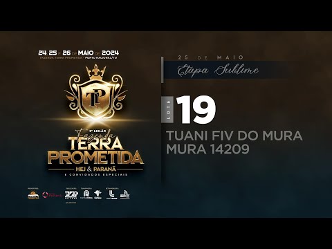 LOTE 19 MURA 14209 NOVA COMPLETA