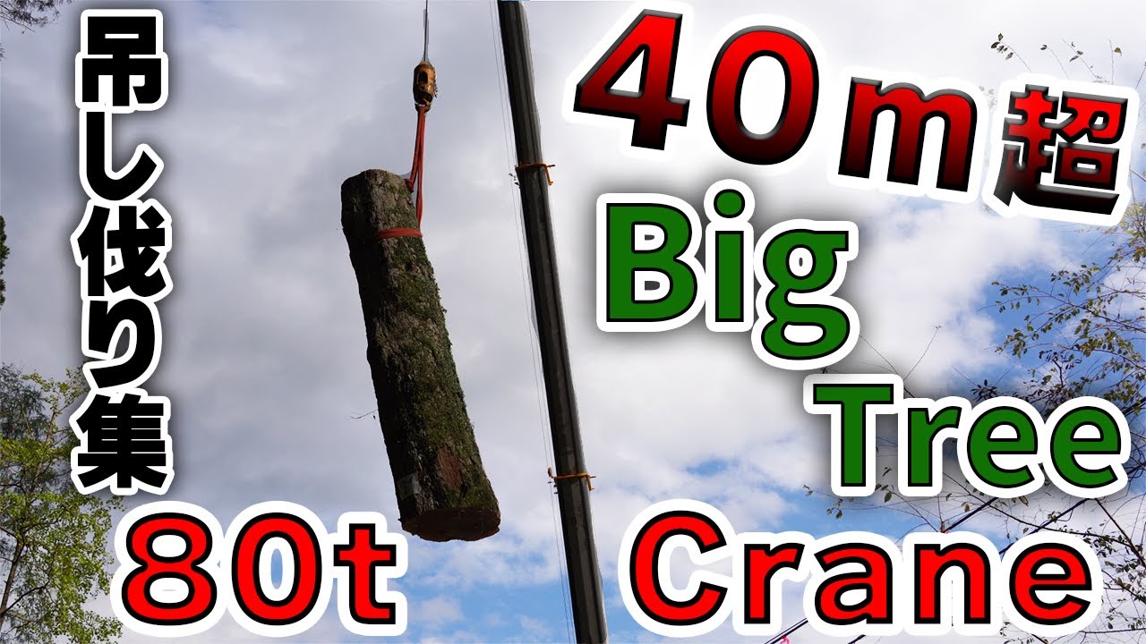【巨木の吊し伐り集】40m超大木・80tクレーン・枝下し・回し伐り・STIHL MS500i
