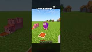 Minecraft Secret NameTags | STop ComMenting YoUr🔋 #shorts