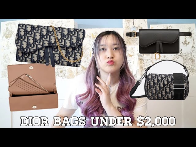 I BOUGHT *ANOTHER* CHEAP DIOR BAG FOR ONLY $800!