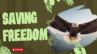 Bald Eagle With Broken Wing Cured by Wildlife Vet | Incredible Journey Back to the Wild